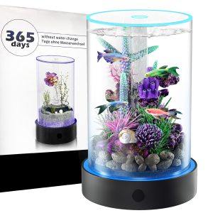 desktop small fish tank | maintenance free, year round pure water 12*20cm