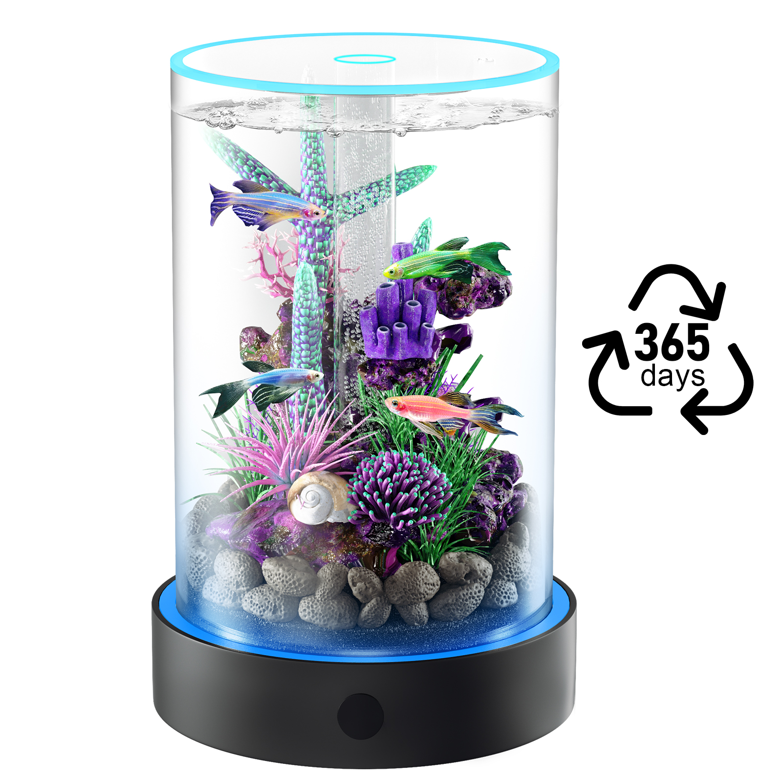desktop small fish tank | maintenance free, year round pure water 12*20cm desktop small fish tank | maintenance free, year round pure water 12*20cm