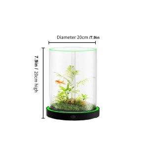 family fun desktop aquarium | easy maintenance, stunning visuals 20*20cm