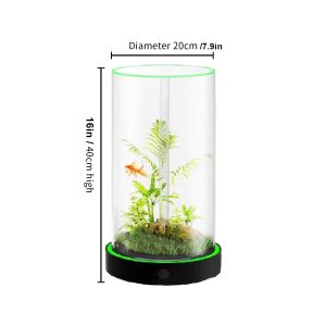 family fun desktop aquarium | easy maintenance, stunning visuals 20*40cm